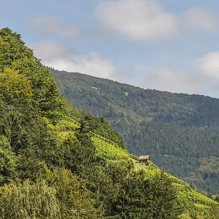 فندق Hotel-gasthaus Goldener Engel 3*