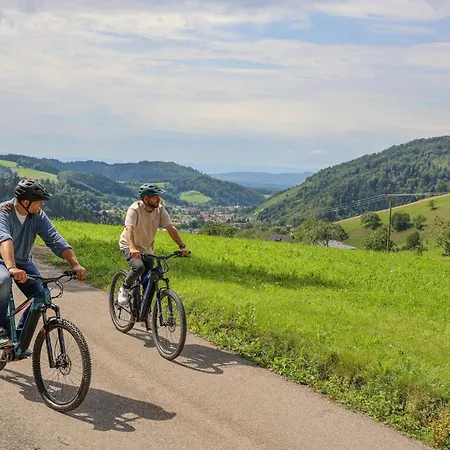 Hotel-gasthaus Goldener Engel فندق