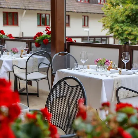 Hotel-gasthaus Goldener Engel 3* グロッタータール