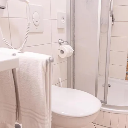 Hotel-gasthaus Goldener Engel 3*