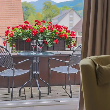 Hotel-gasthaus Goldener Engel 3* غلوترال