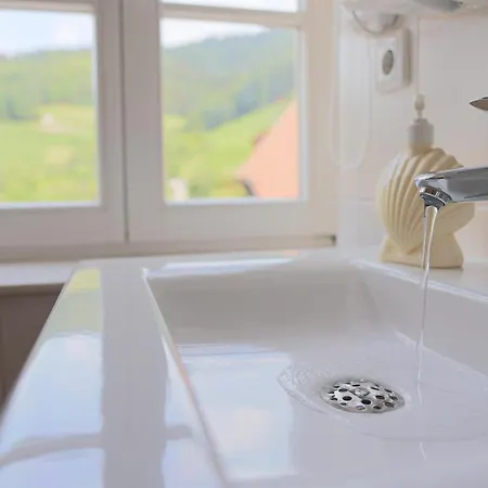 Hotel-gasthaus Goldener Engel 3* غلوترال