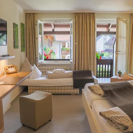 Hotel Hotel-Gasthaus Goldener Engel 3*