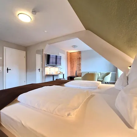Hotel-Gasthaus Goldener Engel Hotel 3*
