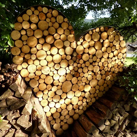 فندق Hotel-gasthaus Goldener Engel غلوترال