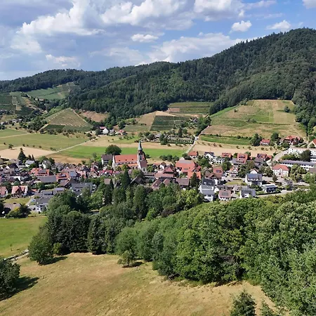 Hotel-gasthaus Goldener Engel 3*
