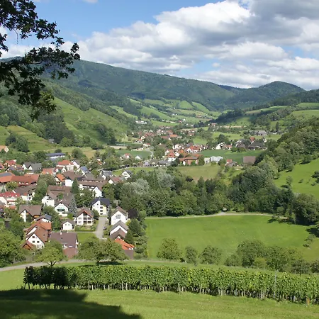 Hotel Hotel-gasthaus Goldener Engel