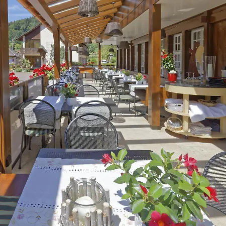 Hotel Hotel-Gasthaus Goldener Engel 3*
